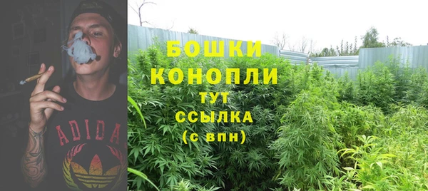 гидра Зеленокумск