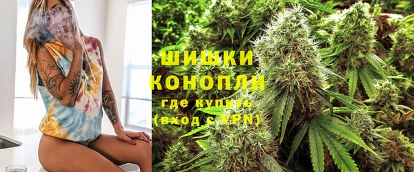 гидра Зеленокумск