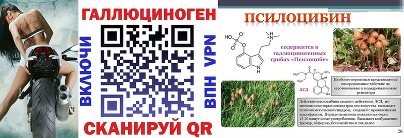 Псилоцибиновые грибы прущие грибы  купить  сайты  Чайковский 