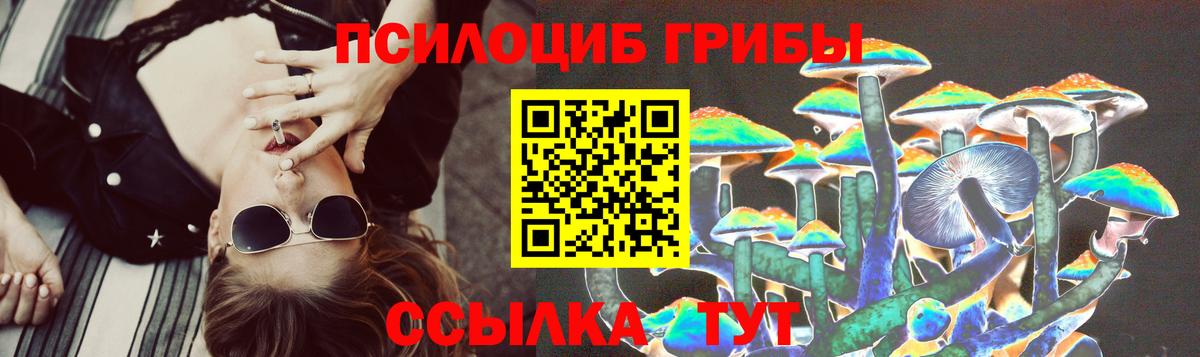 Псилоцибиновые грибы прущие грибы Чайковский