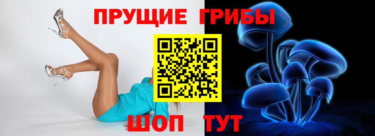 Метадон Чайковский